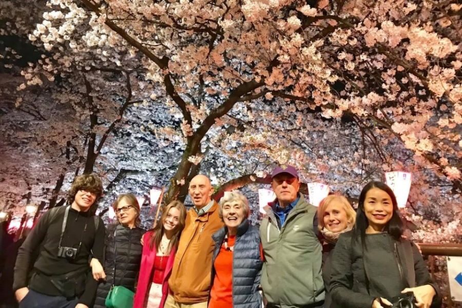 Evening Hanami Cherry Blossom Tour Tokyo