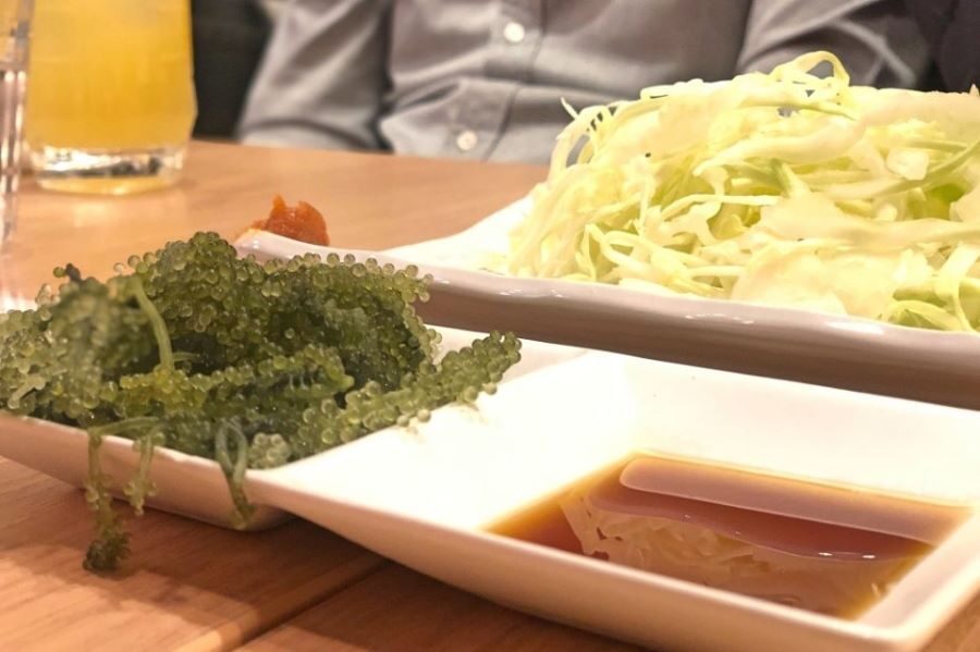 Evening Hanami Cherry Blossom Tour Tokyo