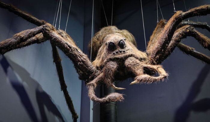 experience creatures aragog