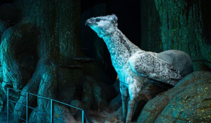experience creatures buckbeak