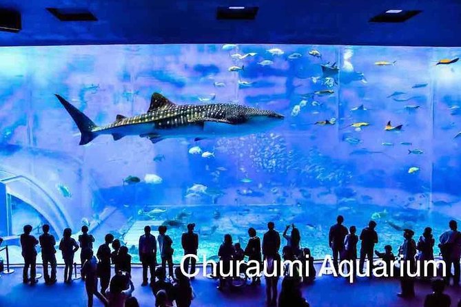 Explore Okinawa With Private Lexus Car Hire With Simple English Driver