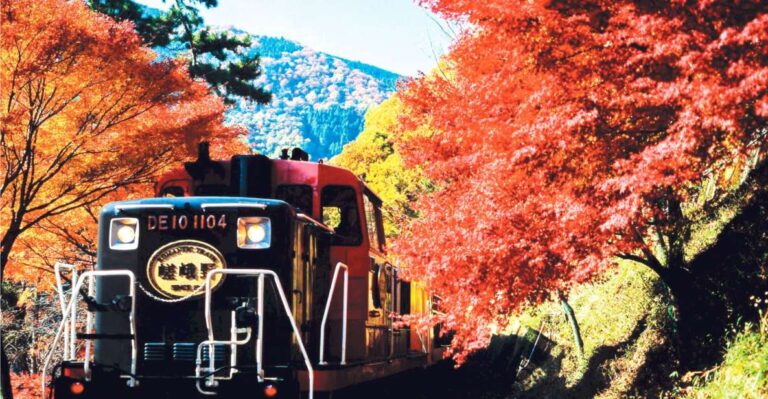 From Kyoto: Sagano Train Ride and Guided Kyoto Day Tour