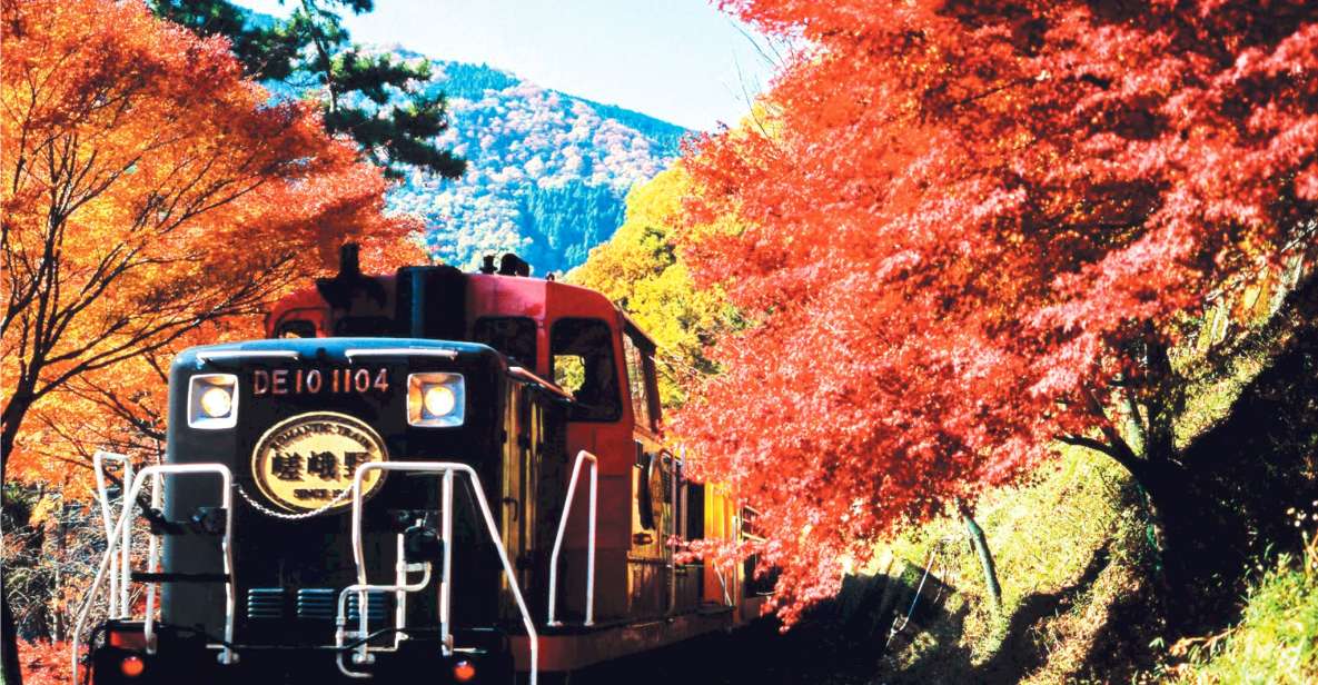 From Kyoto: Sagano Train Ride and Guided Kyoto Day Tour - Quick Takeaways