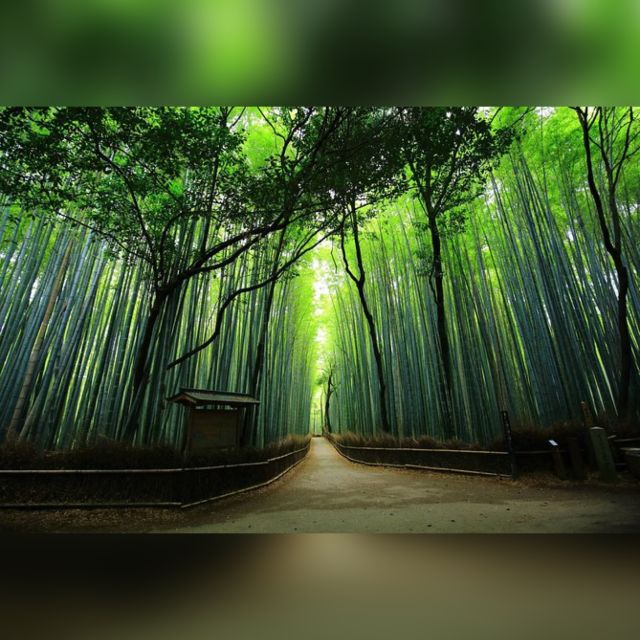 From Osaka/Kyoto: Private Kyoto & Nara Day Trip With Pickup