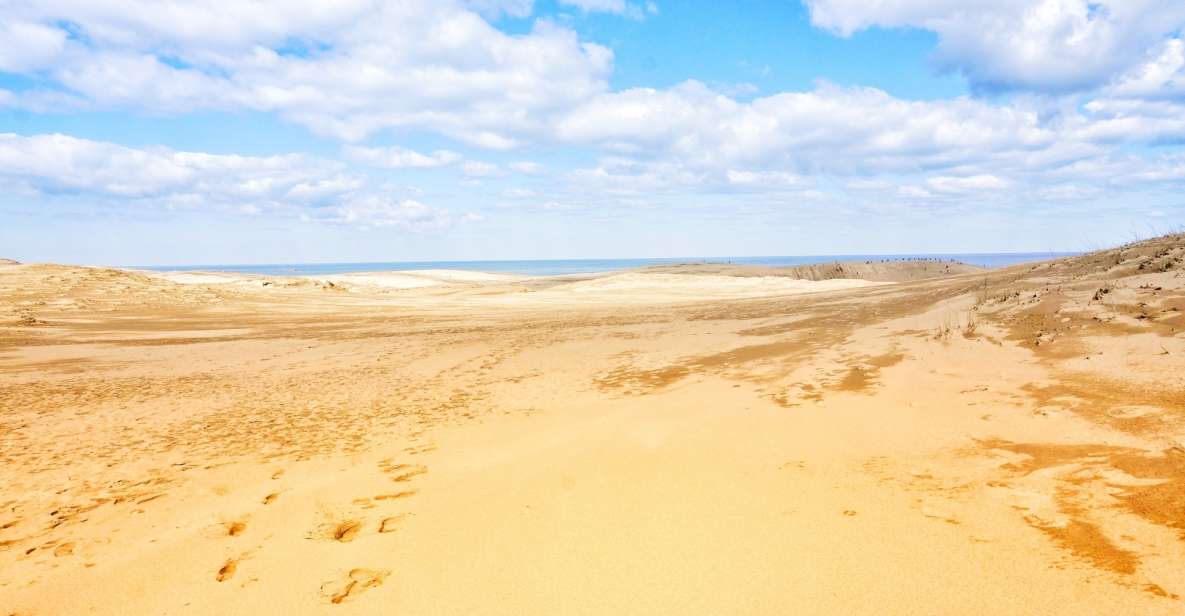 From Osaka: Tottori Sand Dunes,Hakuto Shrine Museum Bus Tour - Quick Takeaways