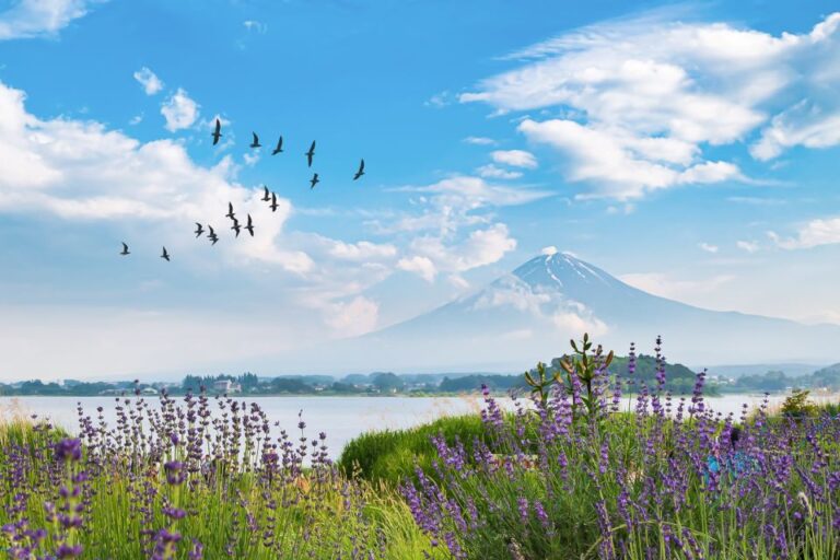 From Tokyo: 1-Day Private Mt. Fuji Tour by Car