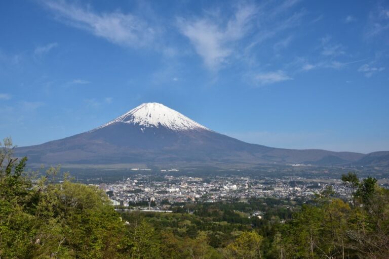 From Tokyo: 1 Day (SIC) Mount Fuji Gotemba Premium Outlet