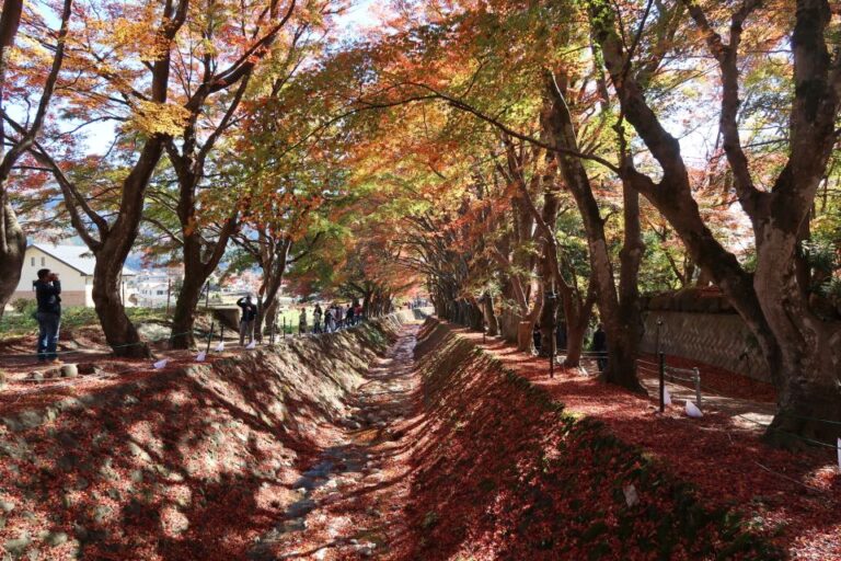 From Tokyo: Mount Fuji Highlights Private Day Tour