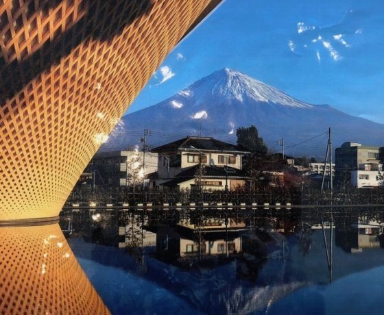 Fuji City Fabulous Local Food Tour Daytime