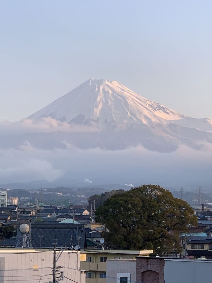 Fuji City Fabulous Local Food Tour Daytime