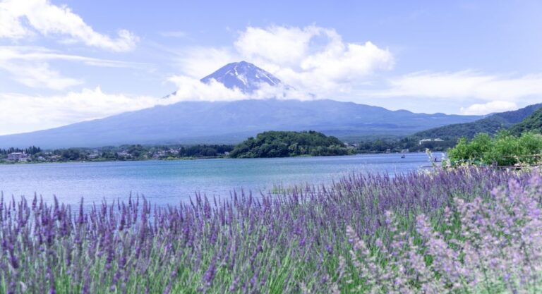 Fuji Kawaguchiko Herb Festival