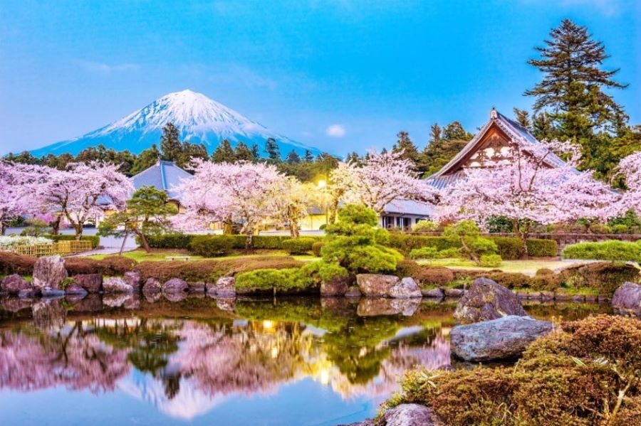 Fujinomiya Famous Food Tour Via Bullet Train