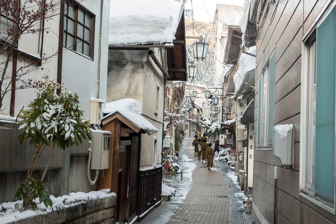 Full-Day Private Nagano Tour: Zenkoji Temple, Obuse, Jigokudani Monkey Park - Discovering the Charming Town of Obuse