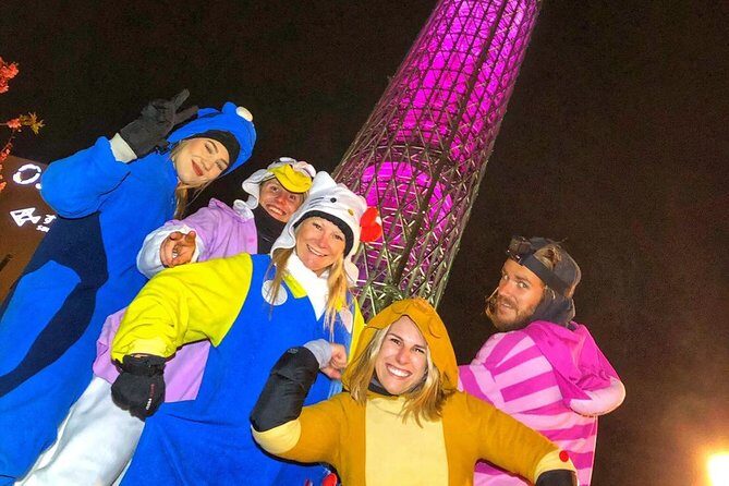 go-kart-street-tour-adventure-with-guide-akihabara6