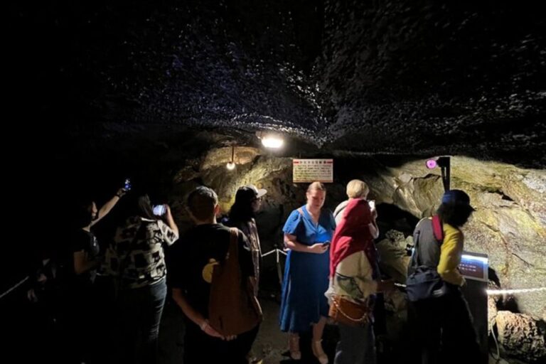 Guided Full-Day Mount Fuji&Aokigahara Forest Bus Tour