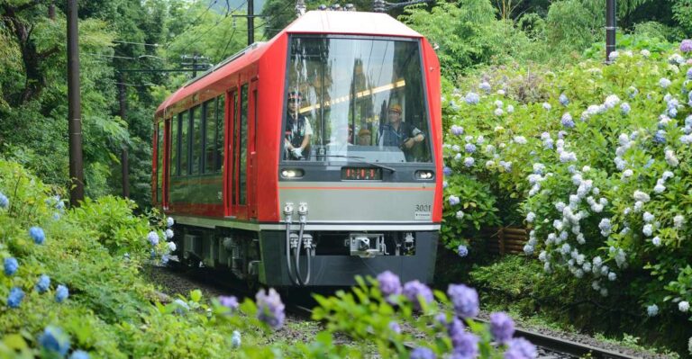 Hakone: Train Pass With Unlimited Rides & Activity Discounts