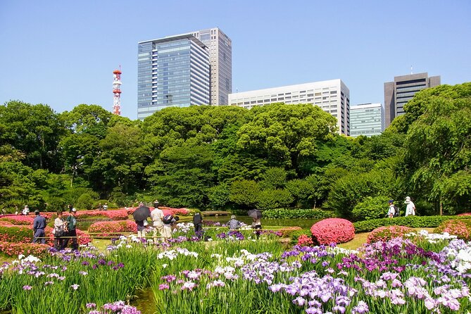 Half Day Sightseeing Tour in Tokyo - Tsukiji Fish Market: A Culinary Adventure