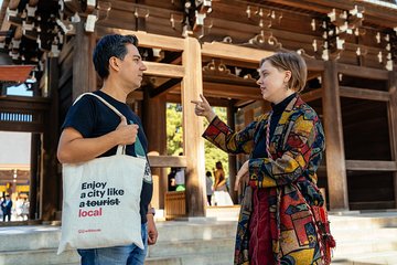 Highlights Amp Hidden Gems With Locals Best Of Tokyo Private Tour