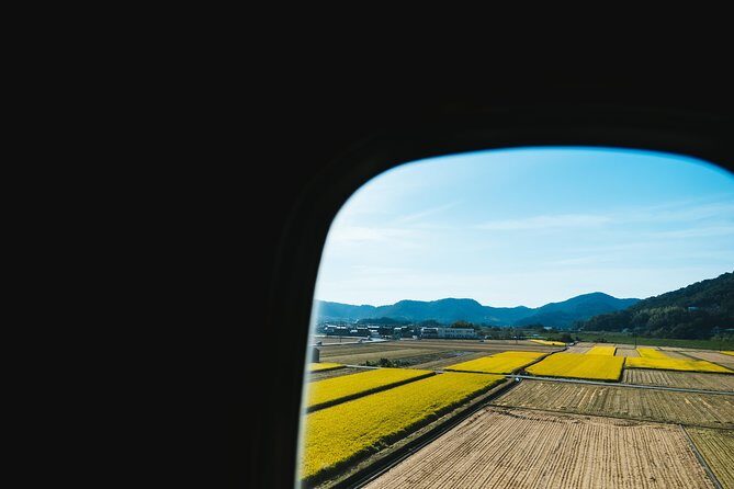 hiroshima-and-miyajima-full-day-sightseeing-tour-from-osaka10