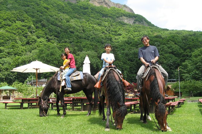 Horseback-Riding in a Country Side in Sapporo – Private Transfer Is Included