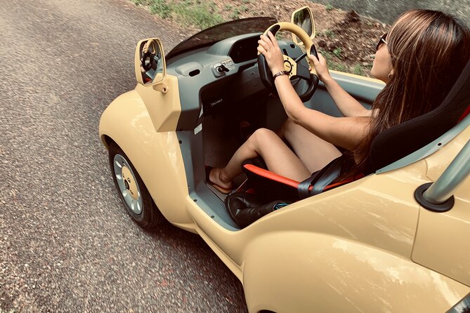 Cute & Fun E-Car Tour Following Guide Around Lake Kawaguchiko - Unforgettable E-Car Sightseeing Tour of Lake Kawaguchiko