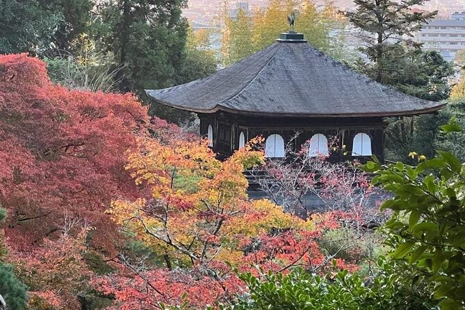 Kyoto Private Customizable Sightseeing Tour by Car-Up to 8 People - Exploring Kyotos Top Attractions