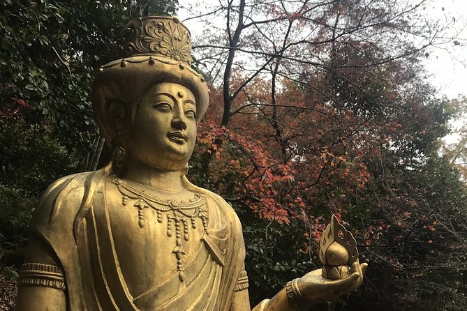 Kyoto: Arashiyama Small-Group Tour - Inclusions