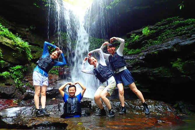 [Iriomote] SUP / Canoe Tour at Mangrove Forest Sightseeing in Yubujima Island - Paddle Your Way Through the Natural Wonders of Yubujima Island