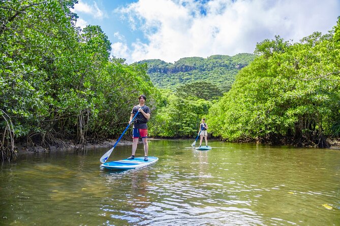 [Iriomote] SUP / Canoe Tour at Mangrove Forest Sightseeing in Yubujima Island - Uncover the Breathtaking Scenery of Iriomotes Mangrove Ecosystem