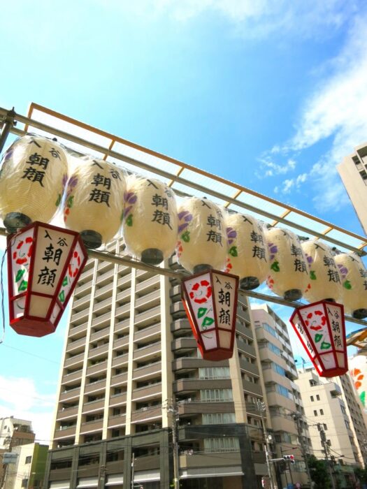 Iriya Morning Glory Festival At Iriya Kishimojin