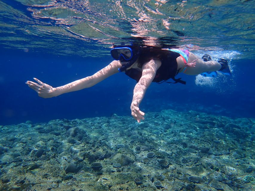 Ishigaki Island: Kayaking and Snorkeling Day at Kabira Bay - Quick Takeaways