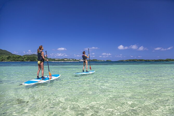 [Ishigaki] Kabira Bay SUP/Canoe Tour - Tour Itinerary