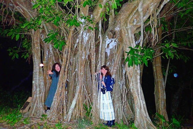 [Ishigaki] Night Jungle Tour - Important Information