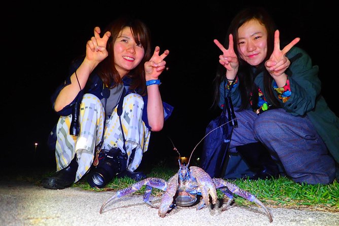 Ishigaki Night Jungle Tour