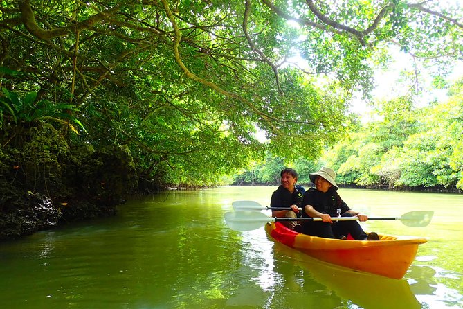 [Ishigaki]Mangrove SUP/Canoe Blue Cave Snorkeling - The Sum Up