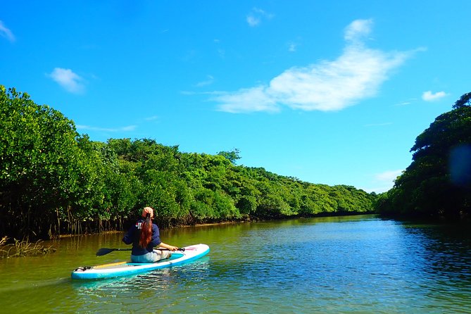 [Ishigaki]Mangrove SUP/Canoe Blue Cave Snorkeling - Snorkeling Adventure in Ishigakis Crystal Clear Waters