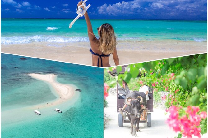 [Ishigaki]Phantom Island Snorkeling Taketomi Island Sightseeing