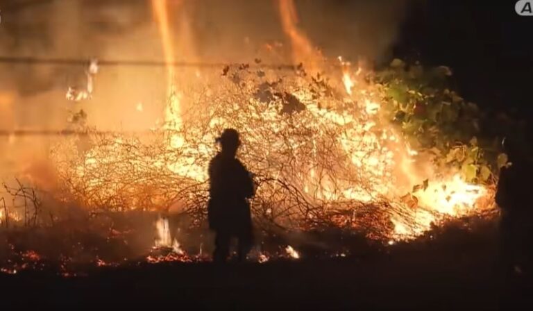 Itabashi Fireworks Fire