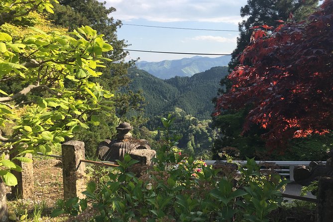 Japan'S Countryside: Small-Group Tour From Tokyo - Uncover the Forgotten Side of Japan