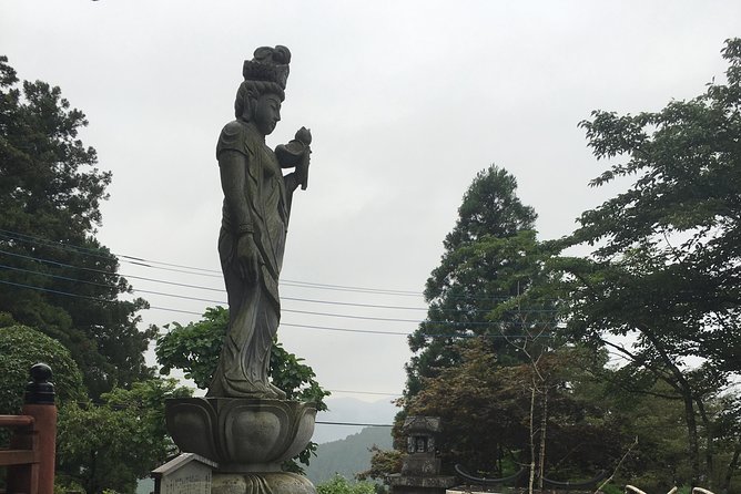 Japan'S Countryside: Small-Group Tour From Tokyo - Exceptional Tour Experience in Tokyos Countryside