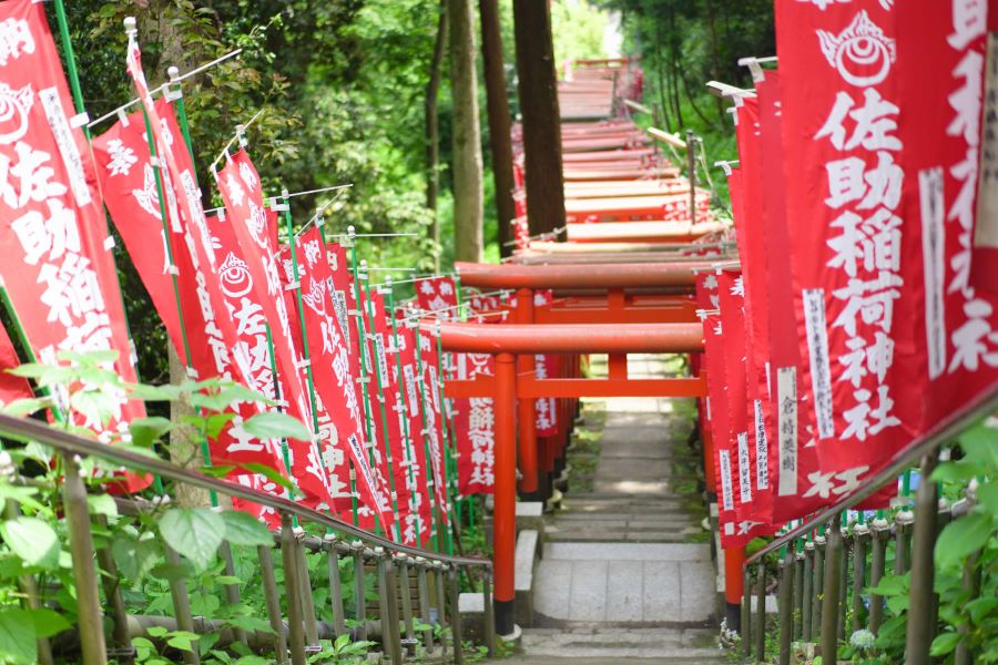 Kamakura Historical Hiking Tour With the Great Buddha - Learning About Shinto Philosophy and Worship
