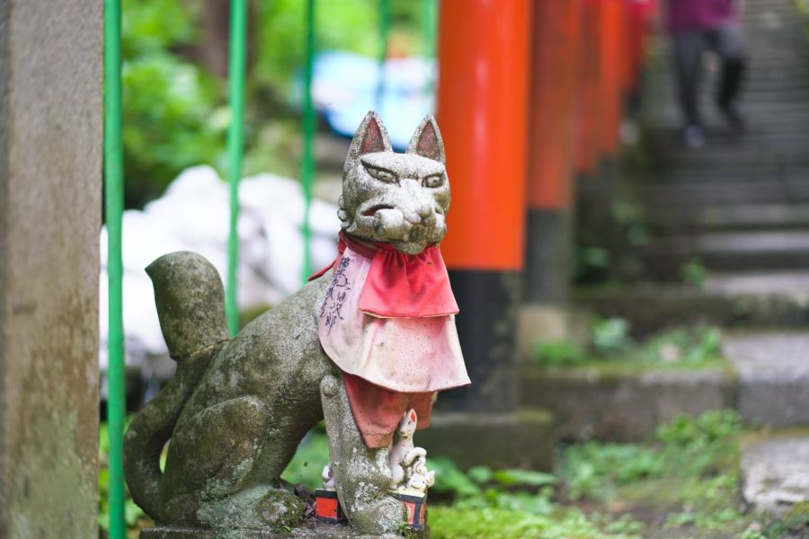 Kamakura Historical Hiking Tour With the Great Buddha - Important Information and Recommendations for the Tour