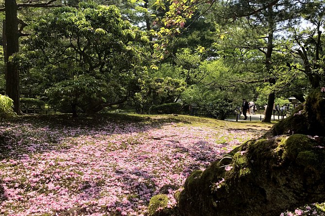 Kanazawa Full-Day Small-Group Samurai Town Tour, Omicho Market - Taking in the Vibrant Omicho Market