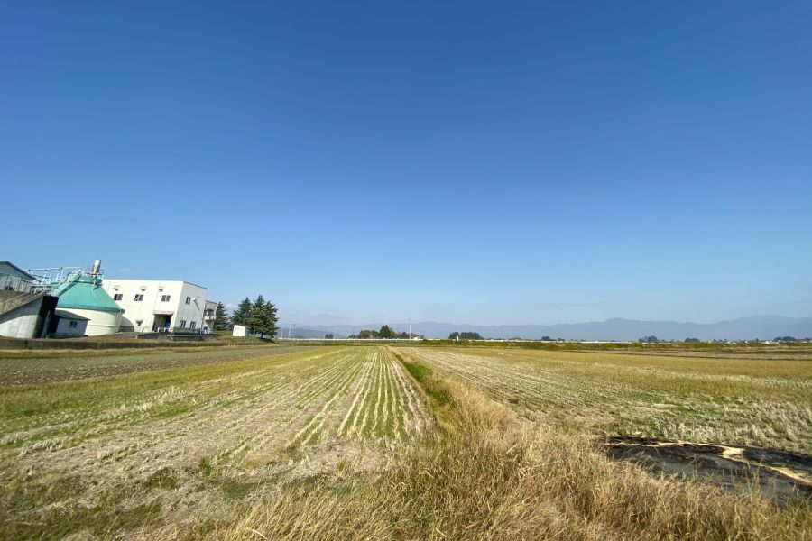 Kitakata Organic Vegetable Harvesting Cooking Tour