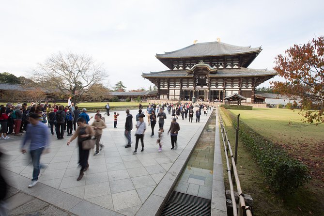 Kyoto and Nara 1 Day Trip – Golden Pavilion and Todai-Ji Temple From Kyoto