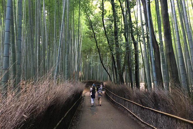 kyoto-arashiyama-sagano-walking-food-tour10