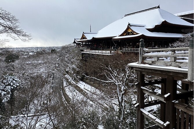 KYOTO Custom Tour With Private Car and Driver (Max 9 Pax) - Inclusions and Services Provided