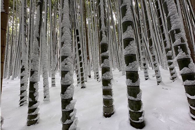 KYOTO Custom Tour With Private Car and Driver (Max 9 Pax) - Traveler Photos and Reviews