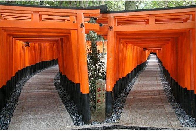 Kyoto in One Day Tour With Nijo Castle and Kiyomizu Temple 2023 - Inclusions and Logistics