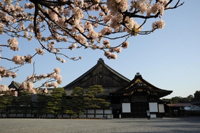 Kyoto in One Day Tour With Nijo Castle and Kiyomizu Temple 2023 - Cancellation Policy